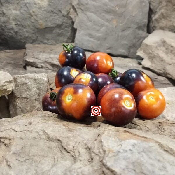 Indigo Rose Tomato.