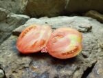 Iraqi Heart Tomato