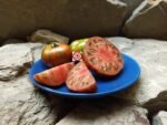 Irish Stripes Beefsteak Tomato