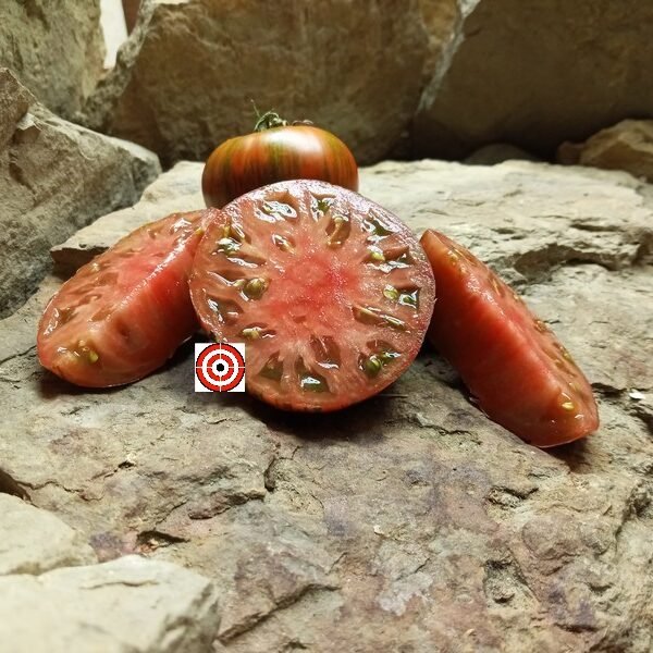 Irish Stripes Tomato