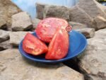Italian Stallion Tomato Seeds.