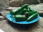 Jalapeno Pepper - Image 5