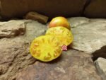 Jewel Tone Tomato Seeds