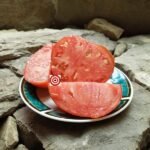 Joe Thieneman Australian Heart Tomato