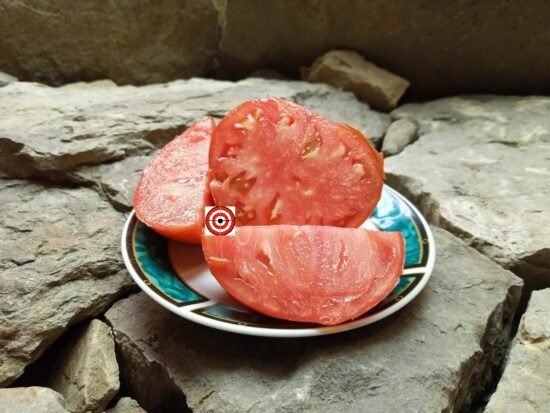 Joe Thieneman Australian Heart Tomato