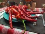 Joe's Long Cayenne Pepper - Image 2