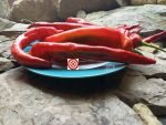 Joe's Long Cayenne Pepper - Image 5