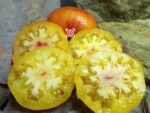 Karma Peach Tomato - Image 3