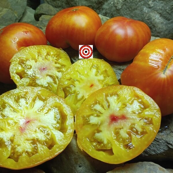 Karma Peach Tomato