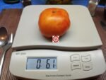 Karma Peach Tomato - Image 5