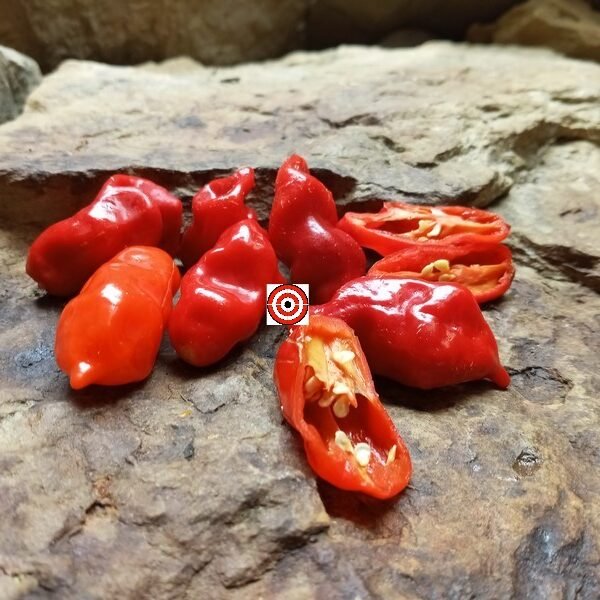 Komodo Dragon Pepper