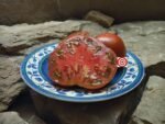Kozula 127 RL Tomato