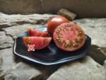 Kozula 127 RL Well Known Breeder Tomatoes
