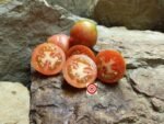 Kozula 133 Pink Tomatoes