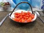 Kozula 14 Tomato Multiflora Tomatoes..