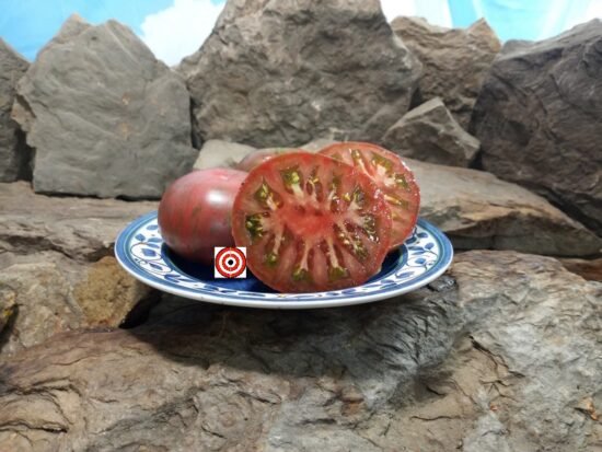 Kozula 24 Tomato