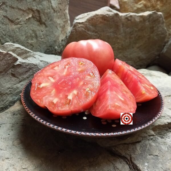 Kozula 37 Tomato