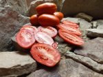 La Roma F2 Canning Tomatoes