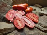 La Roma F2 Sauce Tomato