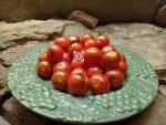 Lamont Sanford Red Cherry Tomato
