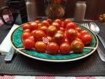 Lamont Sanford Red Tomato