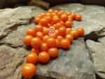Lamont Sanford Orange Tomato - Image 4