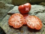 Large Lucky Red Beefsteak Tomato