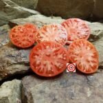 Large Lucky Red Tomato