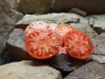 Large Lucky Red Tomato Seeds