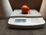 Lida Ukrainian Red Tomato