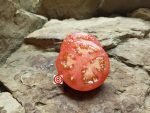 Lida's Ukrainian Tomato