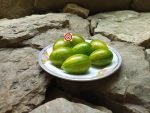 Little Green Gem Striped Tomato