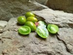 Little Green Gem Tomato