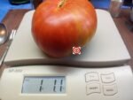 MAC'S PRIDE RL 1 POUND PLUS TOMATOES