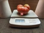 Madison County Pink Tomato