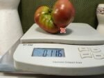 Marizol Maroon Tomato Large Black Tomatoes.