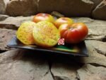 Marvel Stripe Tomato