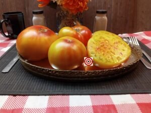 Marvel Stripes Bicolored Tomatoes
