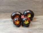 Midnight Select Antho Tomatoes