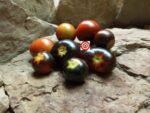 Midnight Select Cherry Tomatoes