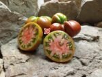 Milkdud Beefsteak Tomato