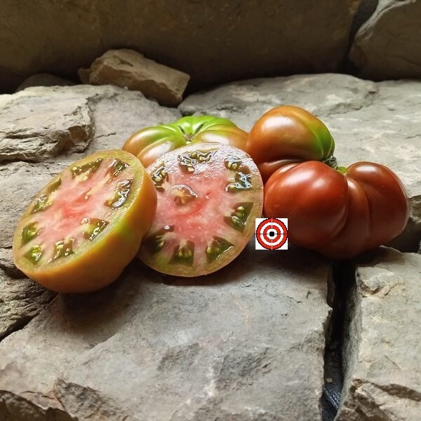 Milkdud Tomato