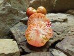 Millionaire Large Tomato