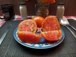 Mocross Elgin #9 Beefsteak Tomato