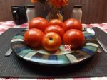 Mocross Elgin #9 Well Known Breeder Tomatoes