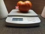 Monomakh's Hat Beefsteak Tomato