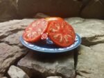 Monomakh's Hat Large Tomato