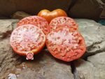 Monomakh's Hat Slicing Tomato