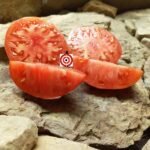 Montreal Tasty Tomato