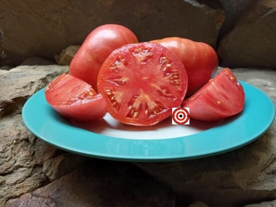 Mortgage Lifter Radiator Charlies Heirloom Tomato